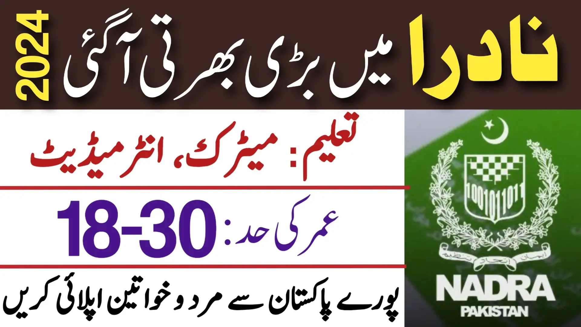 NADRA National Database & Registration Authority Latest Jobs 204