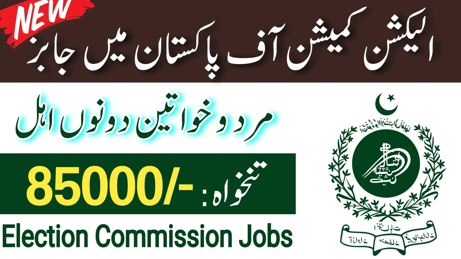 Election Commission of Pakistan ECP Jobs New 2024